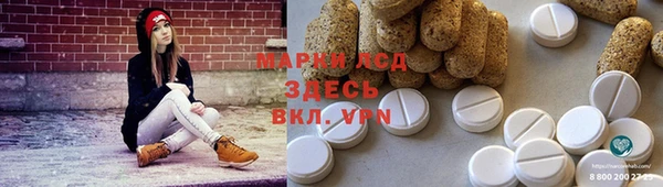 ПСИЛОЦИБИНОВЫЕ ГРИБЫ Алексин