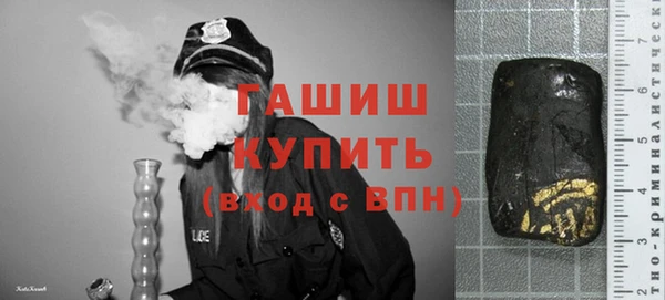 прущие грибы Абаза