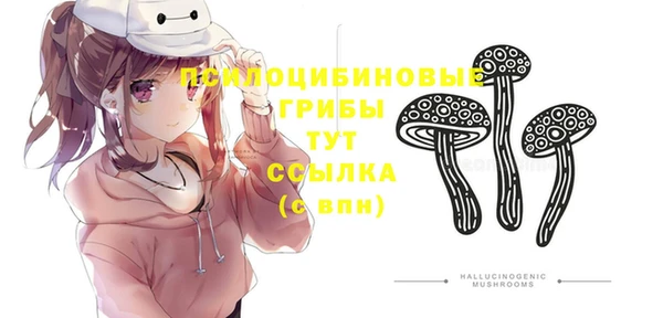 apvp Аркадак