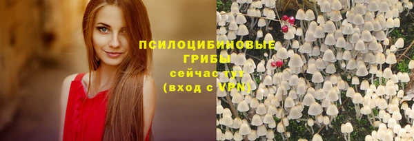 ПСИЛОЦИБИНОВЫЕ ГРИБЫ Алексин