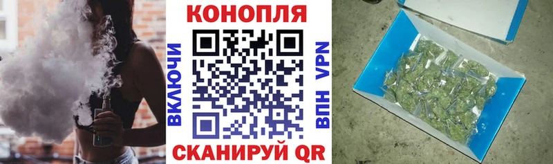 Бошки марихуана AK-47  закладки  Бакал 